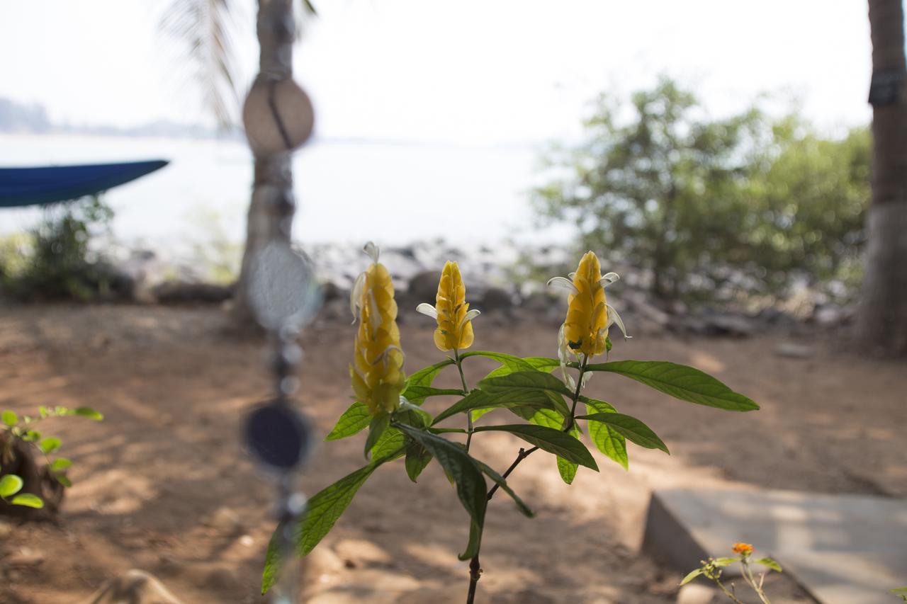 Kala Bahia Hotel Patnem Beach Luaran gambar